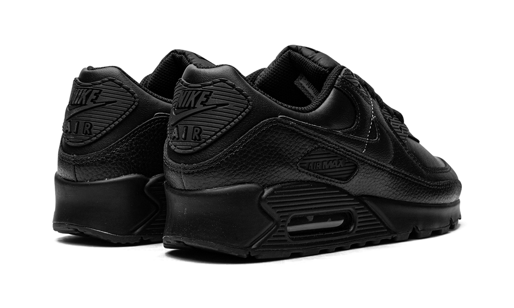 Air Max 90 LTR CZ5594 001