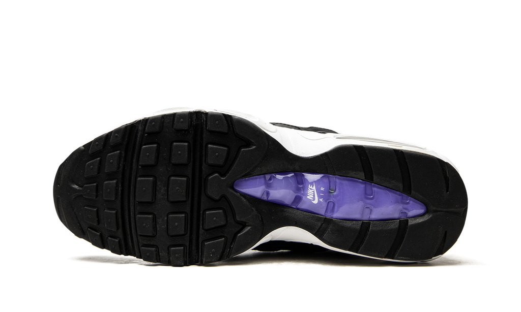 Air Max 95 "Persian Violet" DO5960 100